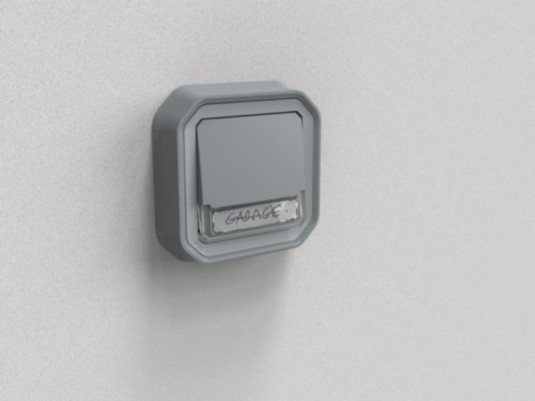 Poussoir NO-NF lumineux porte-étiquette avec voyant étanche Plexo 10A IP55 IK08 livré complet fixation encastré - gris