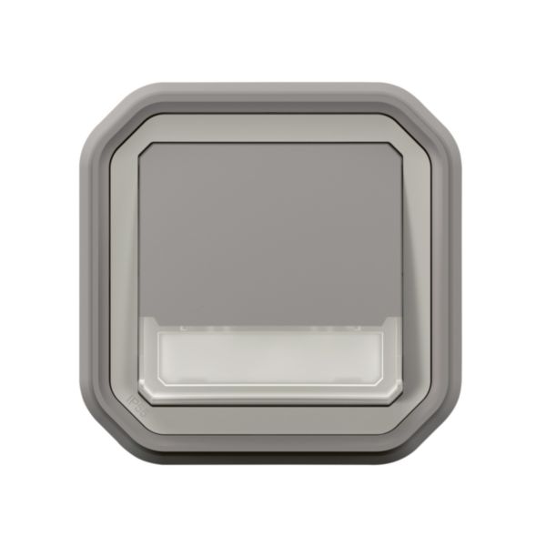 Poussoir NO-NF lumineux porte-étiquette avec voyant étanche Plexo 10A IP55 IK08 livré complet fixation encastré - gris