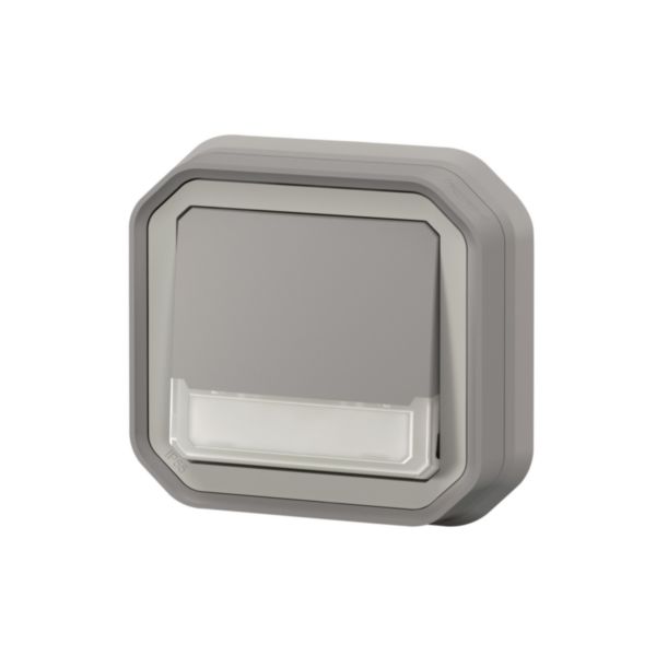 Poussoir NO-NF lumineux porte-étiquette avec voyant étanche Plexo 10A IP55 IK08 livré complet fixation encastré - gris