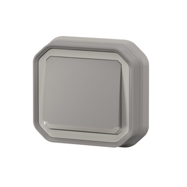 Poussoir NO lumineux avec voyant étanche Plexo 10A IP55 IK08 livré complet pour fixation en encastré - gris