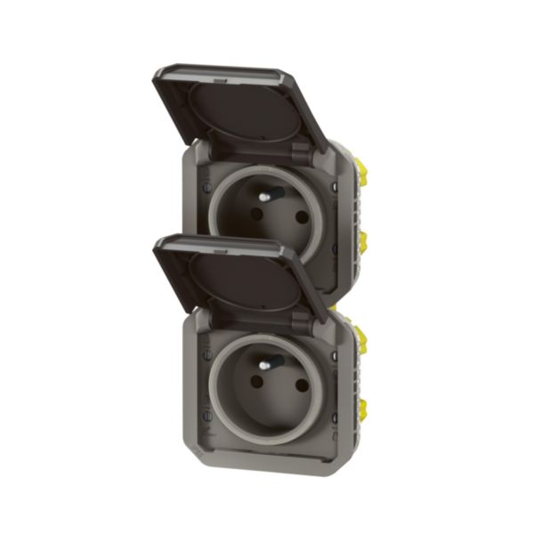 Double prise de courant précâblée 2x2P+T verticale étanche Plexo 16A 250V IP55 2 postes avec enjoliveurs anthracite