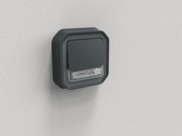 Poussoir NO-NF lumineux porte-étiquette avec voyant étanche Plexo 10A IP55 IK08 complet fixation encastré - anthracite