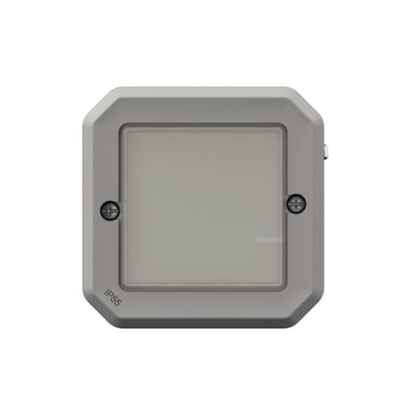 Interrupteur connecté option variation sans neutre étanche Plexo with Netatmo 5W à 125W LED et compensateur - gris