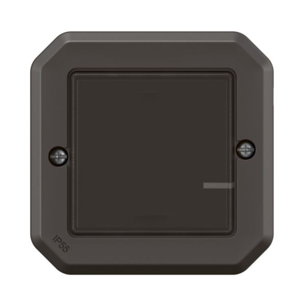 Interrupteur connecté option variation sans neutre étanche Plexo with Netatmo 5W à 125W LED et compensateur - anthracite