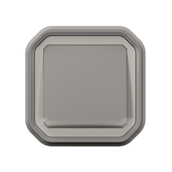 Interrupteur ou va-et-vient témoin étanche Plexo 10A - complet pour montage en encastré avec griffes Gris