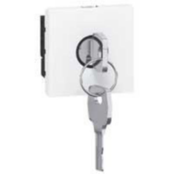 Interrupteur à clé pour BAES Mosaic 2 modules en complément des télécommandes multifonctions 062520 et 062521 - blanc