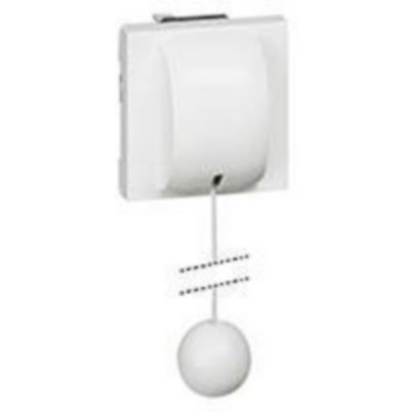Interrupteur ou va-et-vient à tirage 10AX 250V~ Mosaic 2 modules - blanc