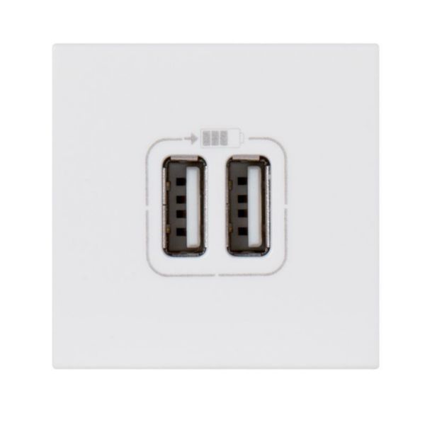 prise 2 USB Type-A 2,4A 5V= 15W Mosaic 2 modules 230V - blanc