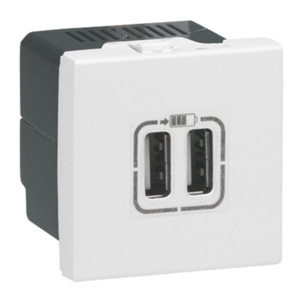 prise 2 USB Type-A 2,4A 5V= 15W Mosaic 2 modules 230V - blanc