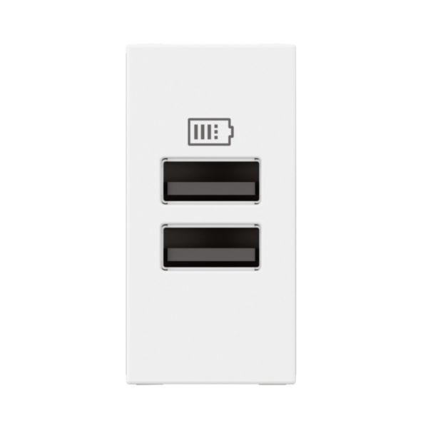 Prise 2 USB Type-A Mosaic 3A 15W pour boite de sol, bloc bureau et goulotte - 1 module blanc