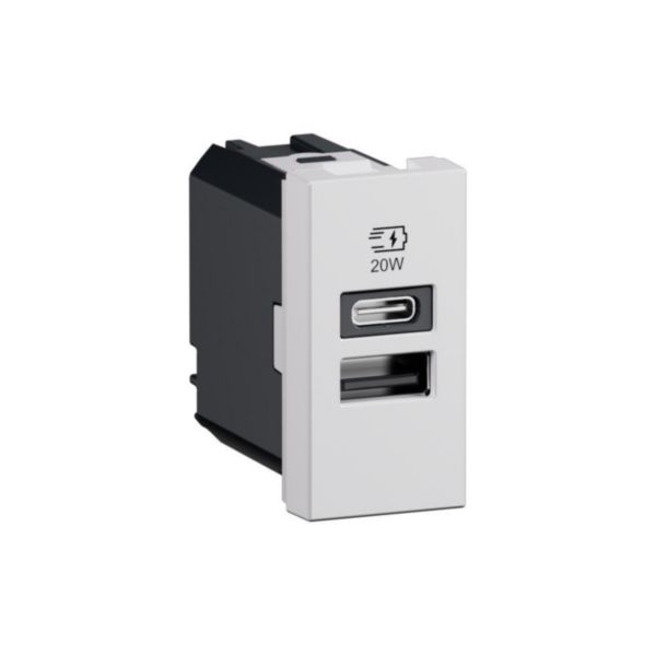 Prise USB Type-A+Type-C 20W Power Delivery Mosaic - 1 module - Blanc
