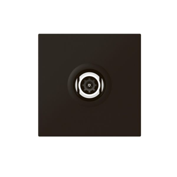Prise télévision Ø9,52mm mâle Mosaic 2 modules - noir mat