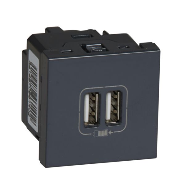 Chargeur 2 USB Type-A 2,4A 5V= 12W Mosaic 2 modules 230V - anthracite