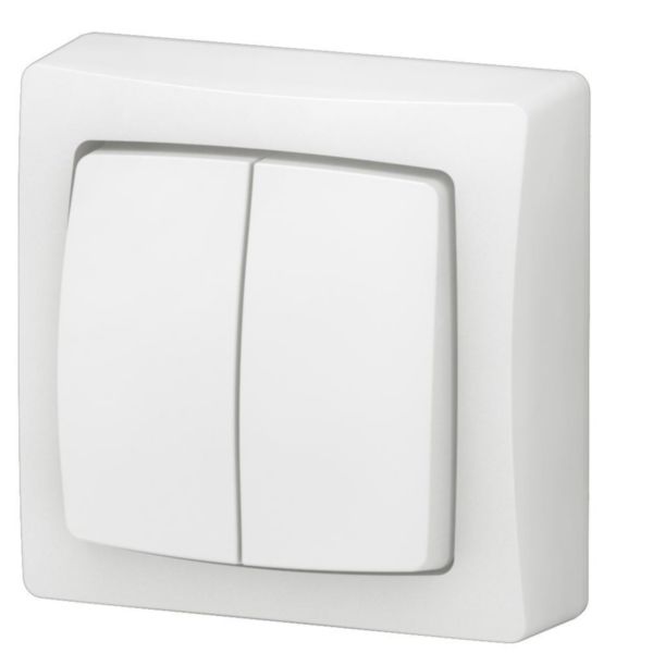 Transformeur double 5 en 1 : interrupteur, va-et-vient ou poussoir double Appareillage Saillie complet blanc - bornes automatiques