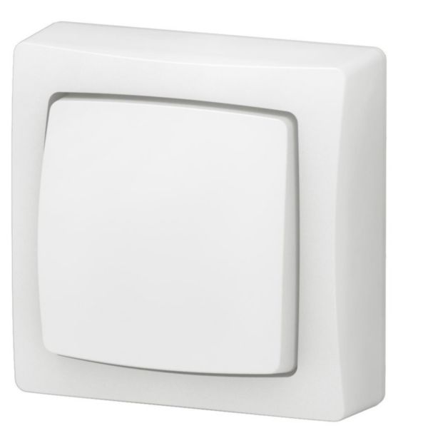 Poussoir simple touche Appareillage Saillie complet - Blanc