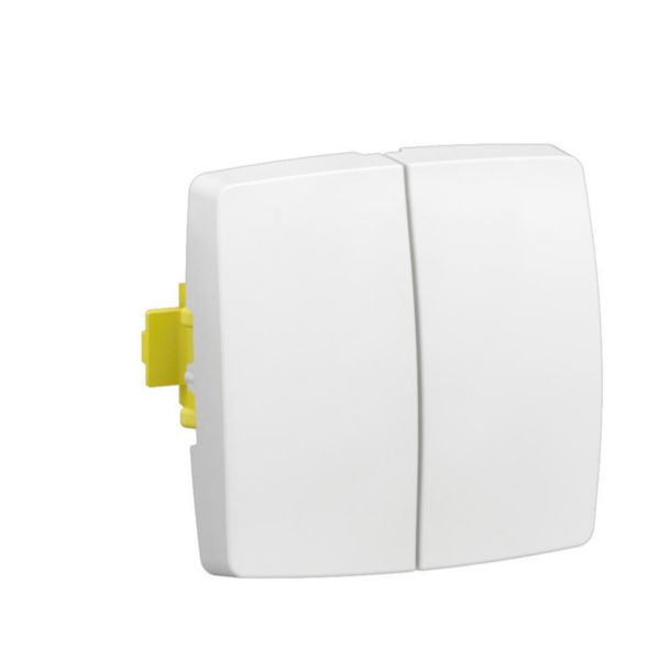 Transformeur double 5 en 1 : interrupteur, va-et-vient ou poussoir double Appareillage Saillie composable blanc - bornes automatiques