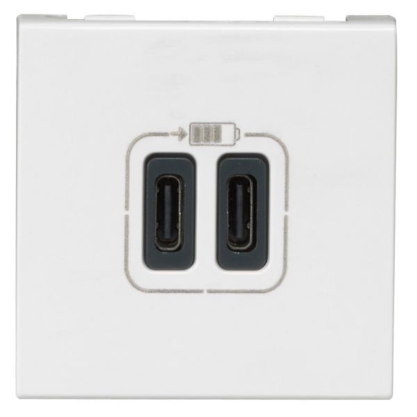 Prise double USB Type-C Mosaic 3A 15W 2 modules - blanc