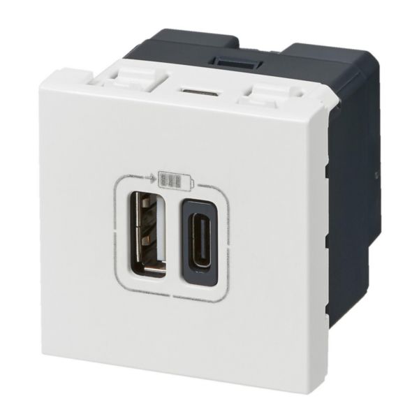 Prise double USB Type-A + Type-C Mosaic 3A 15W 2 modules - blanc