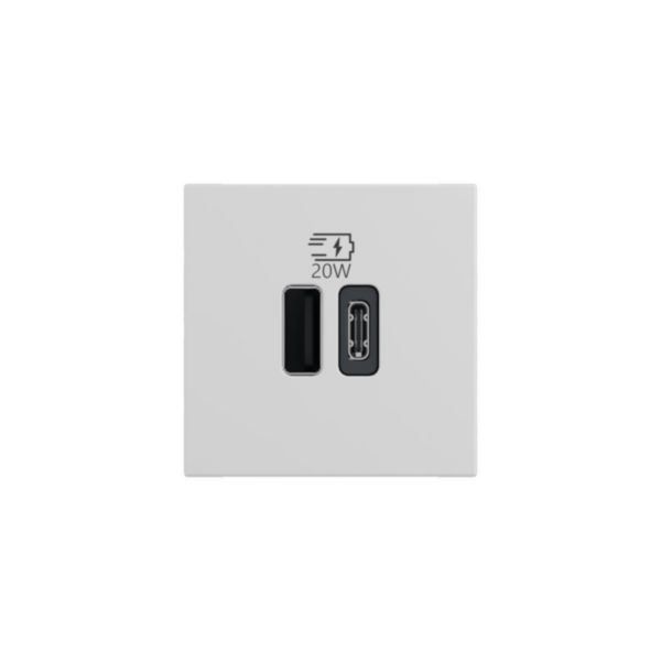 Prise USB Type-A+Type-C 20W Power Delivery Mosaic - 2 modules - Blanc 