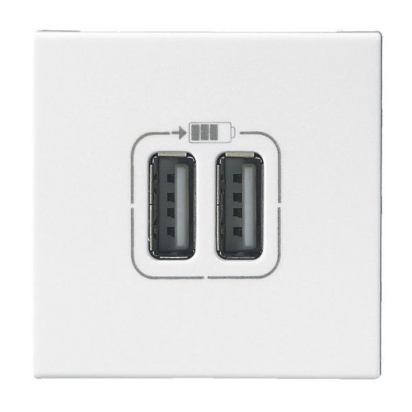 Blok Duo Prise Usb Double 2,1A + Prise De Courant 2P+T Blanc - Manubricole