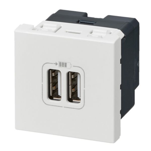 Prise double USB Type-A Mosaic 3A 15W 2 modules - blanc