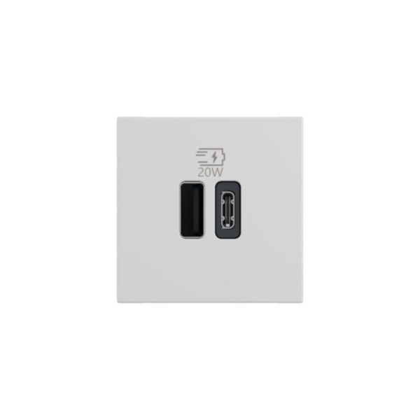 Prise USB Type-A+Type-C 20W Power Delivery Mosaic - 2 modules - Blanc - Europe 