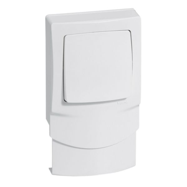 Va-et-vient avec cadre pour pose sur moulure épaisseur 12,5mm-Appareillage saillie composable - blanc - Page 3