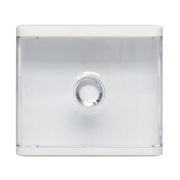 Habillage + porte transparente pour platines de branchement DRIVIA