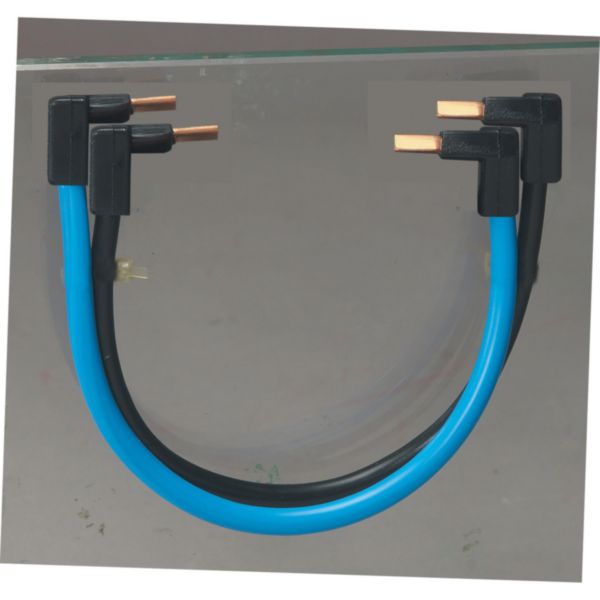 Cordon de repiquage neutre pour appareils bornes à vis - section 10mm² - longueur 270mm