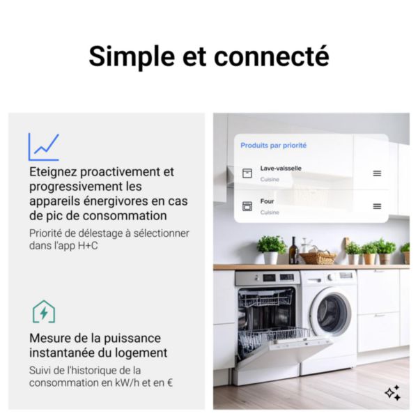 Délesteur connecté Drivia with Netatmo avec 1 tore de mesure fermé 80A - 1 module