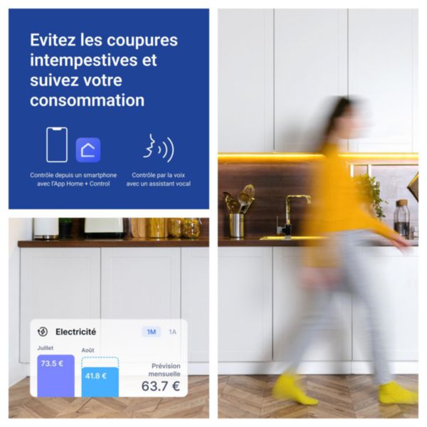 Délesteur connecté Drivia with Netatmo avec 1 tore de mesure fermé 80A - 1 module