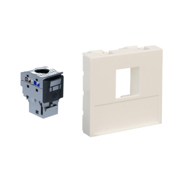 Lot de 10 connecteurs RJ45 Linkeo C catégorie 6A STP avec adaptateurs 45x45mm 2 modules