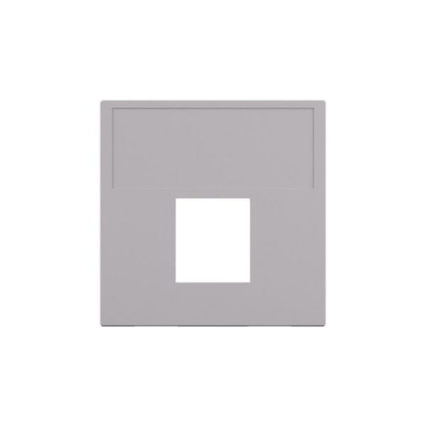 Enjoliveur Linkeo C pour connecteur RJ45 plat 2 modules