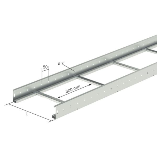 Échelle à câbles avec renforts alternés EAC GLO4 version light - hauteur 60mm, largeur 300mm et longueur 3m - finition GS