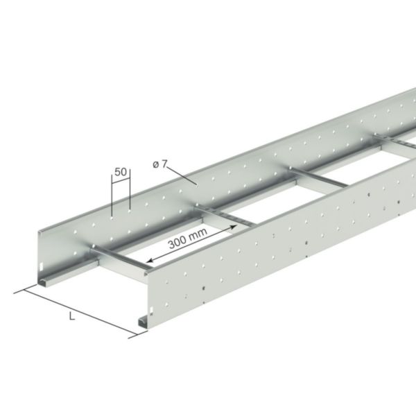 Échelle à câbles avec renforts alternés EAC GLO4 version medium - hauteur 100mm, largeur 300mm et longueur 6m - finition GS