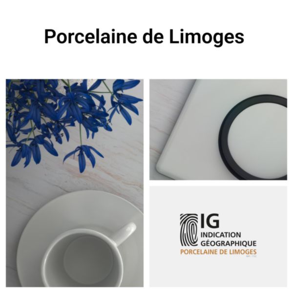 Plaque Céliane finition Matière Porcelaine Limoges - 3 postes