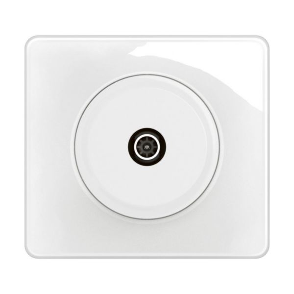 Prise TV simple mâle Céliane avec plaque - Blanc