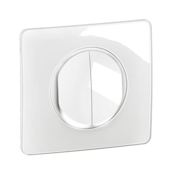 Double interrupteur ou va-et-vient lumineux 10A (voyant fourni) Céliane avec plaque - Blanc