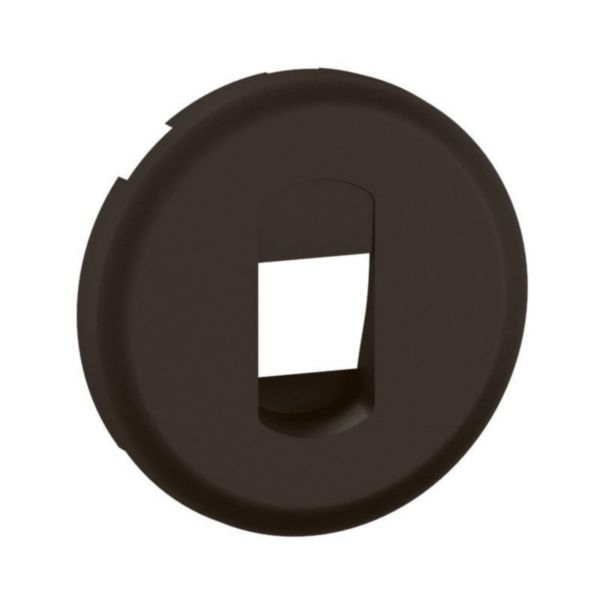 Enjoliveur Céliane pour prise haut parleur simple - finition graphite
