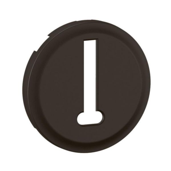 Enjoliveur Céliane pour prise téléphone 8 contacts - finition graphite