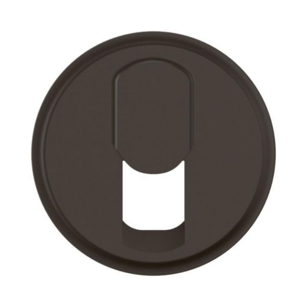 Enjoliveur pour prise RJ45 Céliane - Noir