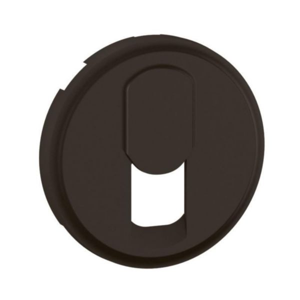 Enjoliveur Céliane pour prise téléphone pour réseau mixte et basique - finition graphite