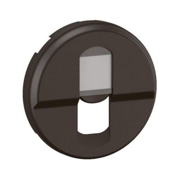 Enjoliveur Céliane pour prise RJ45 - finition graphite
