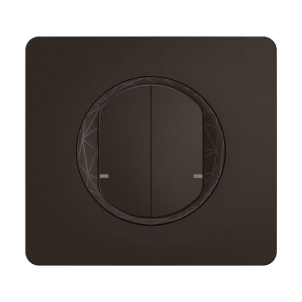 Commande double sans fils pour interrupteur connecté ou prise connectée Céliane with Netatmo avec plaque - Noir