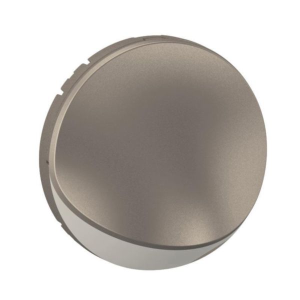 Enjoliveur pour spot pour escalier Céliane - Titanium
