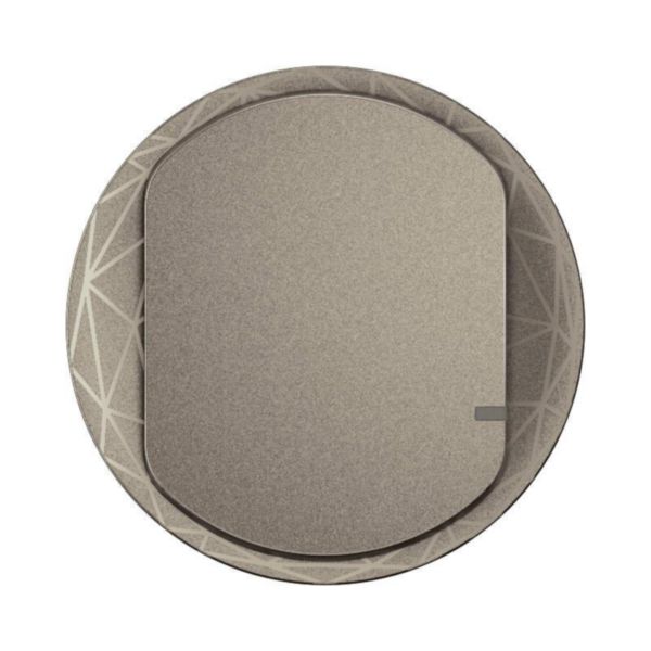Enjoliveur de remplacement Céliane with Netatmo pour interrupteur filaire sans Neutre et commande sans fils - finition Titanium