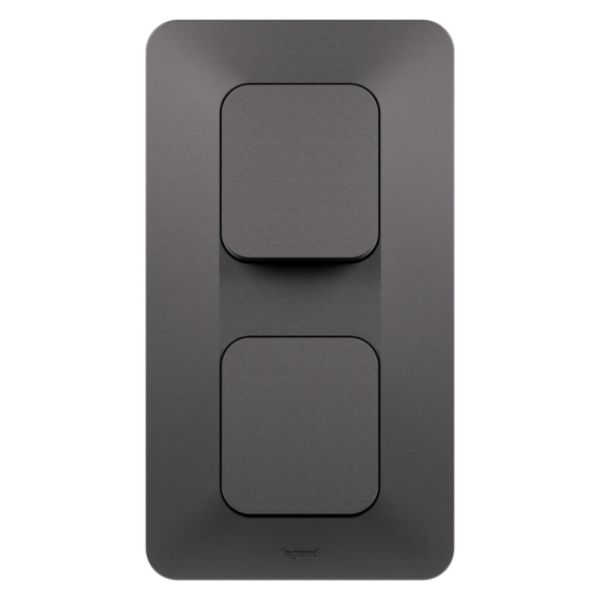 Double interrupteur ou va-et-vient Neptune 10A Vertical Bornes automatiques- Finition Noire
