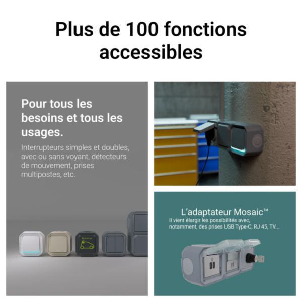 Interrupteur bipolaire étanche Plexo 10AX 250V IP55 IK08 avec enjoliveur gris