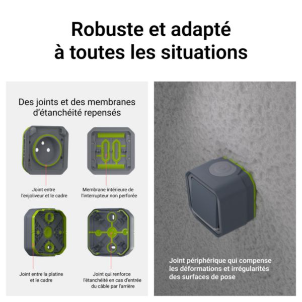 Interrupteur bipolaire étanche Plexo 10AX 250V IP55 IK08 avec enjoliveur gris