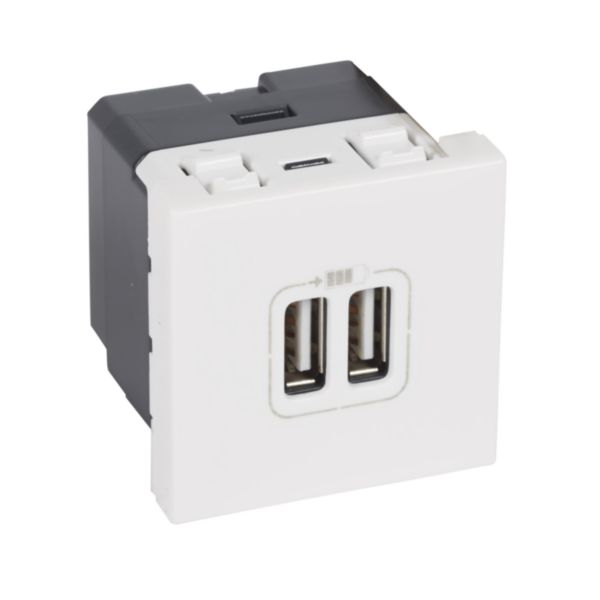 Chargeur double USB 2400mA Type A appareillage 45 Logix 2 modules 230V/5V= blanc Artic